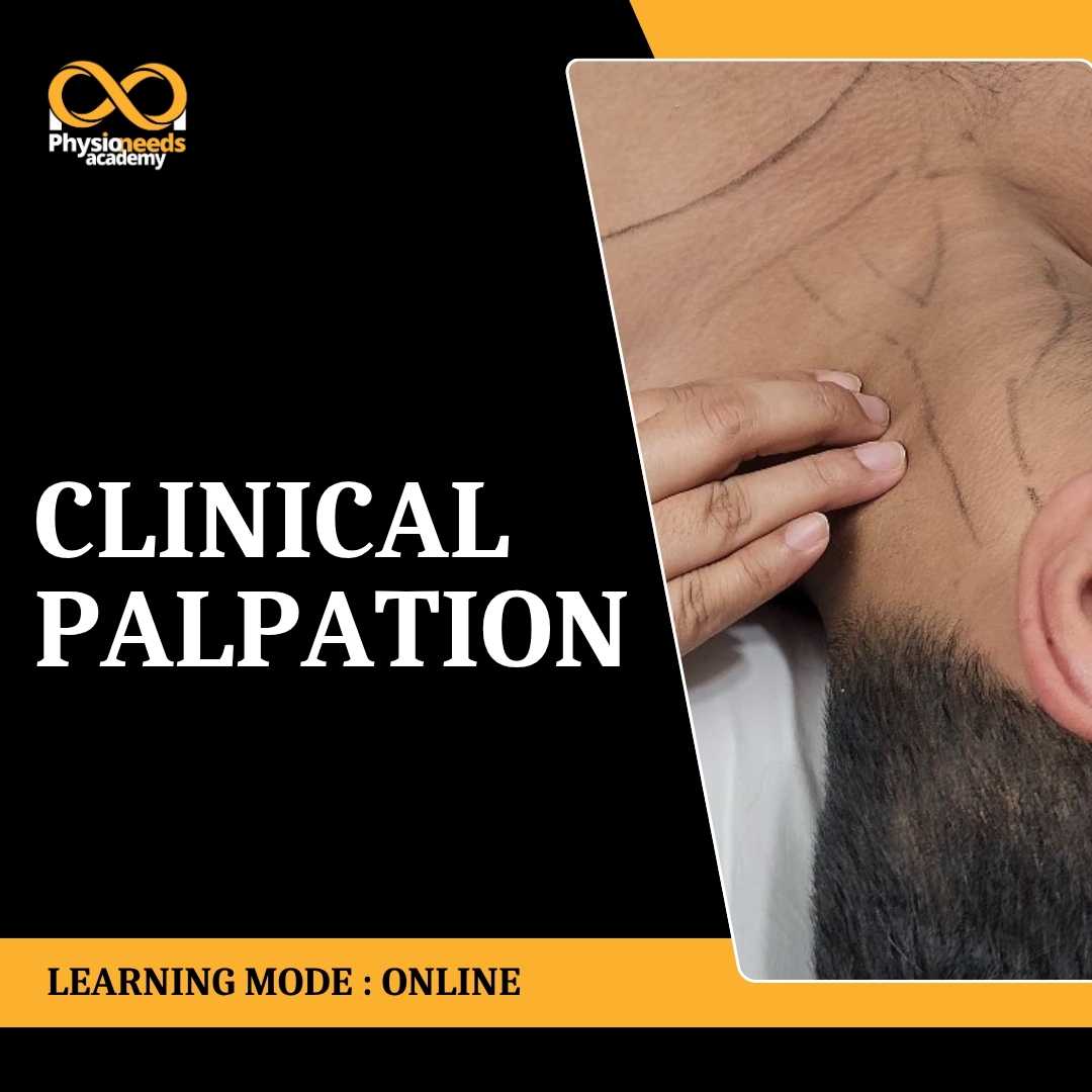 Clinical Palpation
