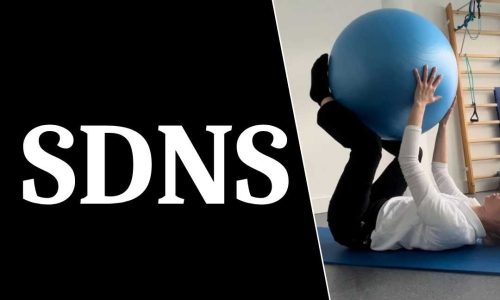 sdns